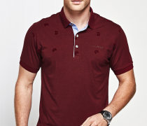 福建Polo衫产品库 价格、图片与厂家信息全览